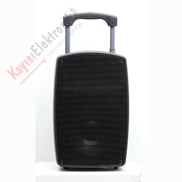 GOLD AUDİO PA 2312 EE