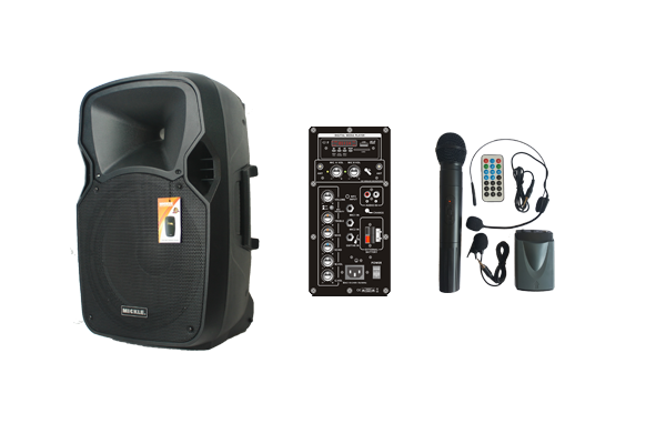 MİCKLE MP810 100W 20CM TAŞINABİLİR PORTATİF AMFİSİ