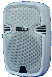 MİCKLE MV208W 200 Watt 8inc Kabin Hoprlör