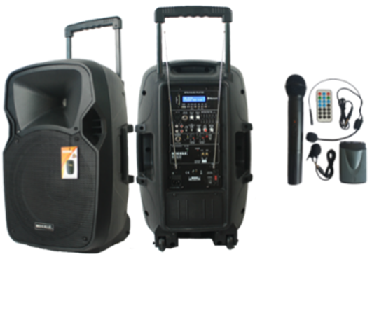 MİCKLE MP1230 30 CM 300W TAŞINABİLİR PORTATİF AMFİ