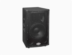 L-12 12 inch 2 Yollu 300W Pasif Kabin Hoparlör