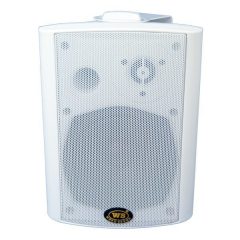 WEST SOUND CONTROL 5 100 Watt Hat Trafolu Duvar Hoparlörü Siyah