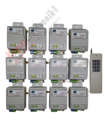 12 Adet 1 Kanal Dahili Antenli Alıcılı, Büyük Elcikli RF Kumanda