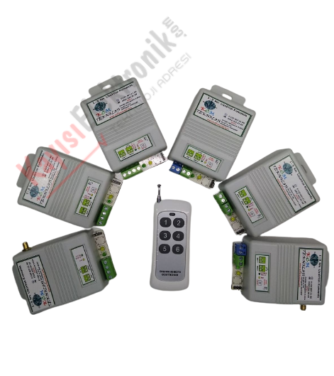 6 Adet 1 Kanal Dahili Antenli Alıcılı Orta Boy Elcikli